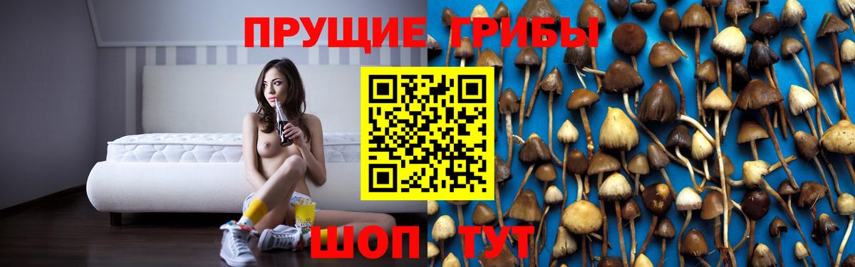 Галлюциногенные грибы MAGIC MUSHROOMS  Вход с VPN  Ирбит  Псилоцибиновые грибы мицелий 